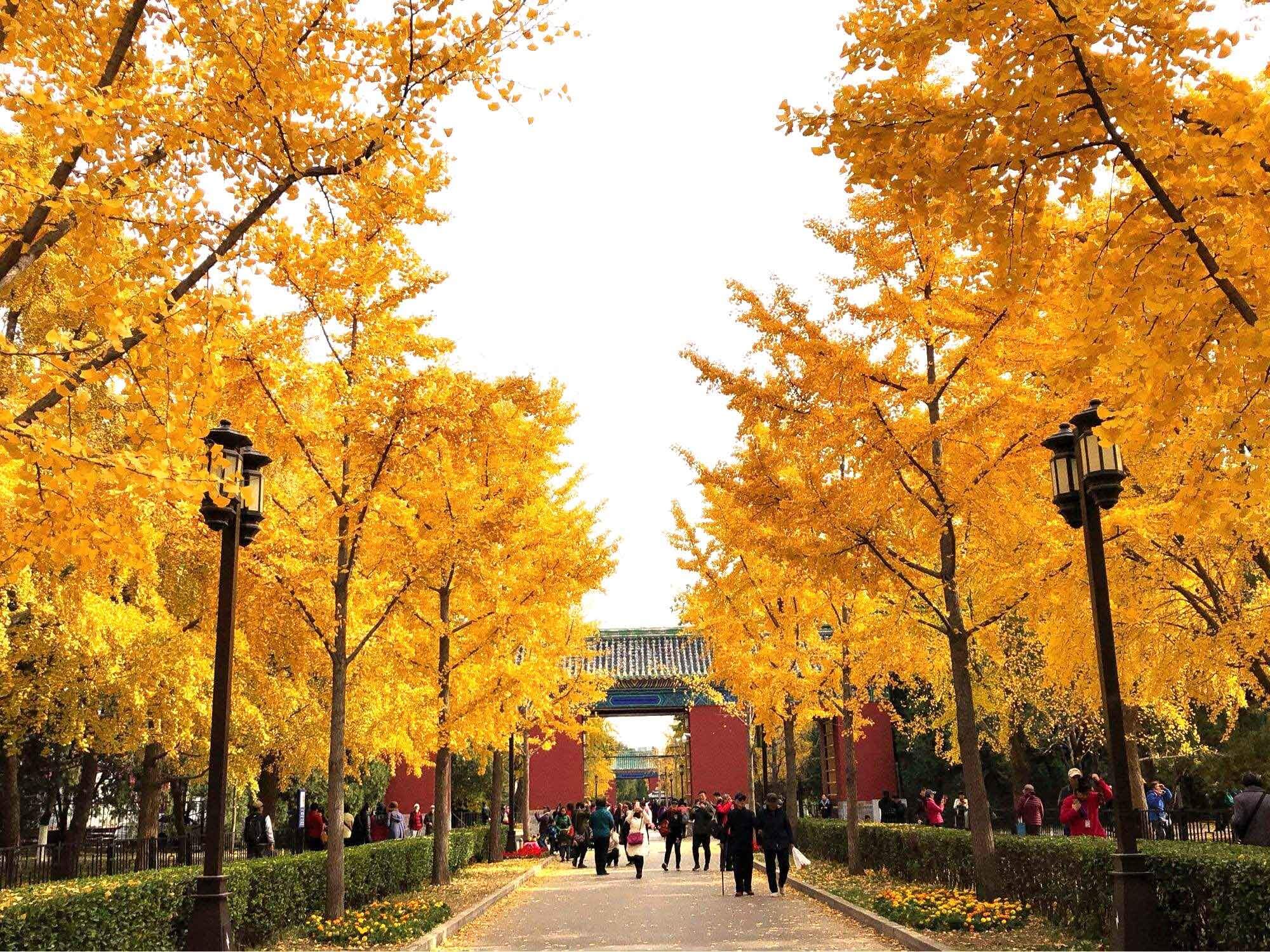 Milk Travel - Chuyên Tour Châu Á & Trong Nước Uy Tín