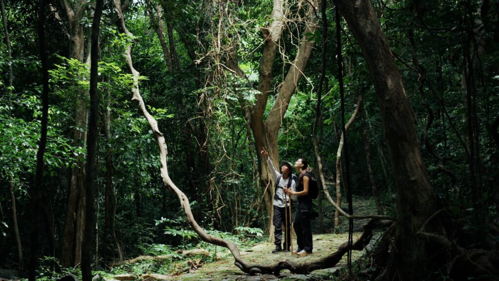 Khám phá trong rừng nguyên sinh là trải nghiệm thú vị dành cho những người thích trekking